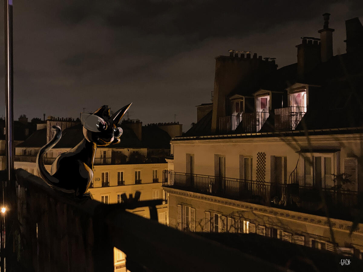 Paris, France. Gato Voyagero.