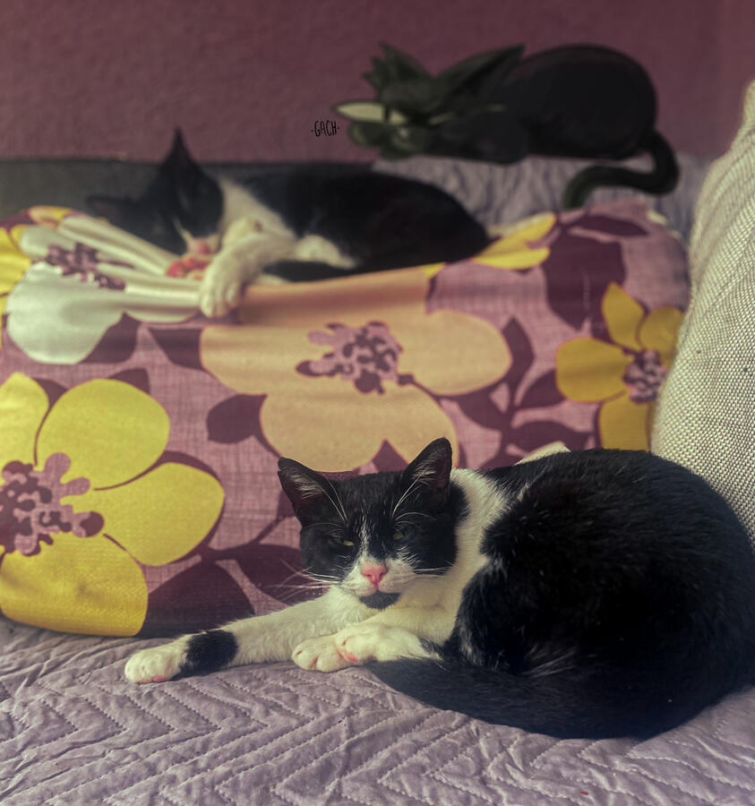 Sarajevo, Bosnia &amp; Herzegovina